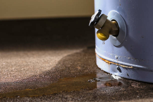 Best Ceiling water damage repair  in Lake Linden, MI