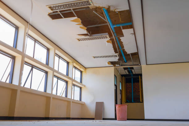 Best Residential water damage restoration  in Lake Linden, MI