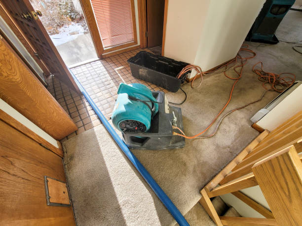 Best Water damage contractors near me  in Lake Linden, MI