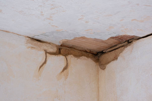 Best Water damage mitigation services  in Lake Linden, MI