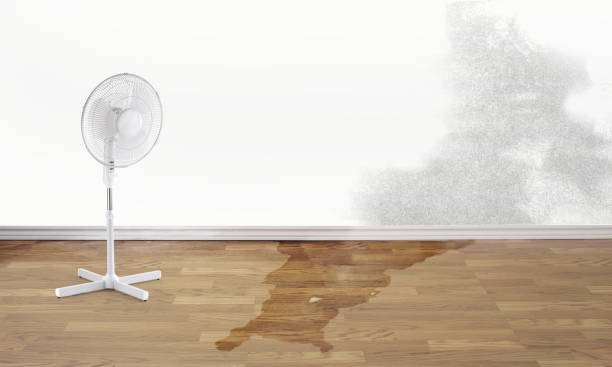 Best Basement water damage restoration  in Lake Linden, MI