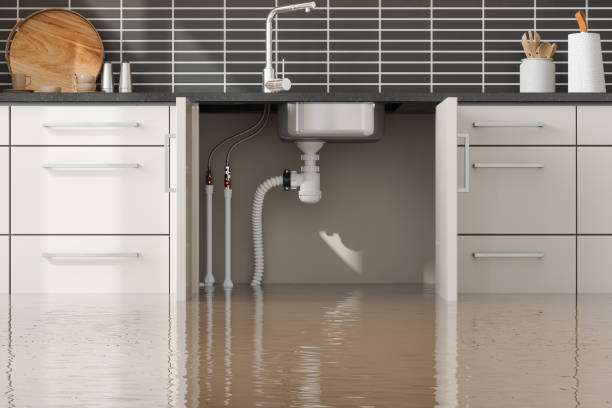 Best Emergency water damage restoration  in Lake Linden, MI