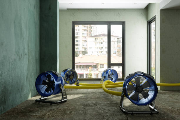 Best Professional water damage repair  in Lake Linden, MI